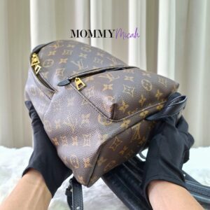 LV Palmspring PM Monogram