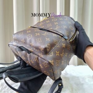 LV Palmspring PM Monogram