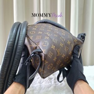 LV Palmspring PM Monogram