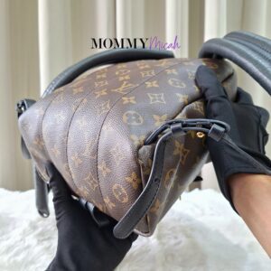 LV Palmspring PM Monogram