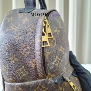 LV Palmspring PM Monogram