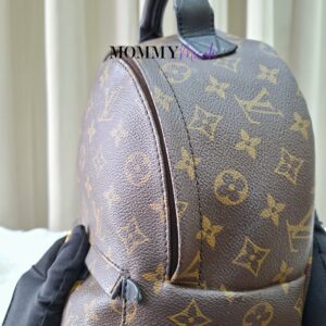 LV Palmspring PM Monogram