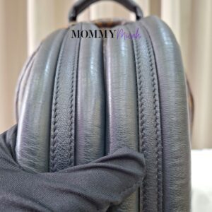 LV Palmspring PM Monogram