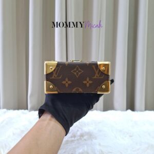 Louis Vuitton Camera Box Monogram