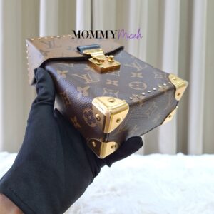 Louis Vuitton Camera Box Monogram