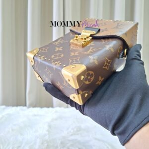Louis Vuitton Camera Box Monogram