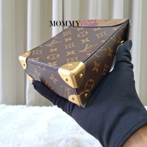 Louis Vuitton Camera Box Monogram
