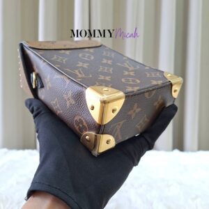 Louis Vuitton Camera Box Monogram