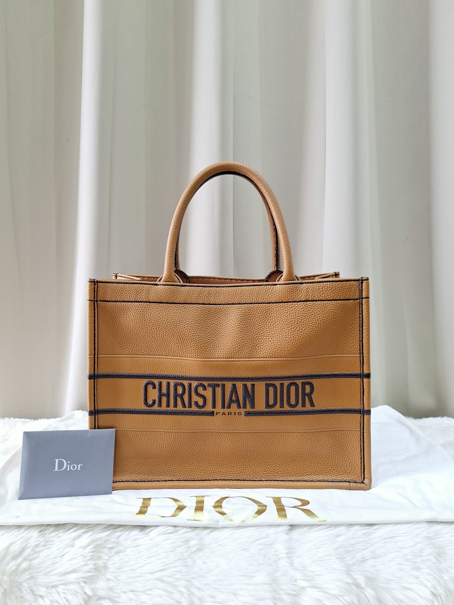 Christian Dior Book Tote Bag Christian Dior Book Tote Bag
