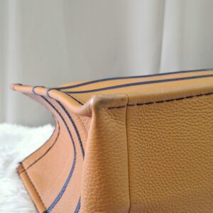 Christian Dior Book Tote Bag