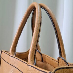 Christian Dior Book Tote Bag