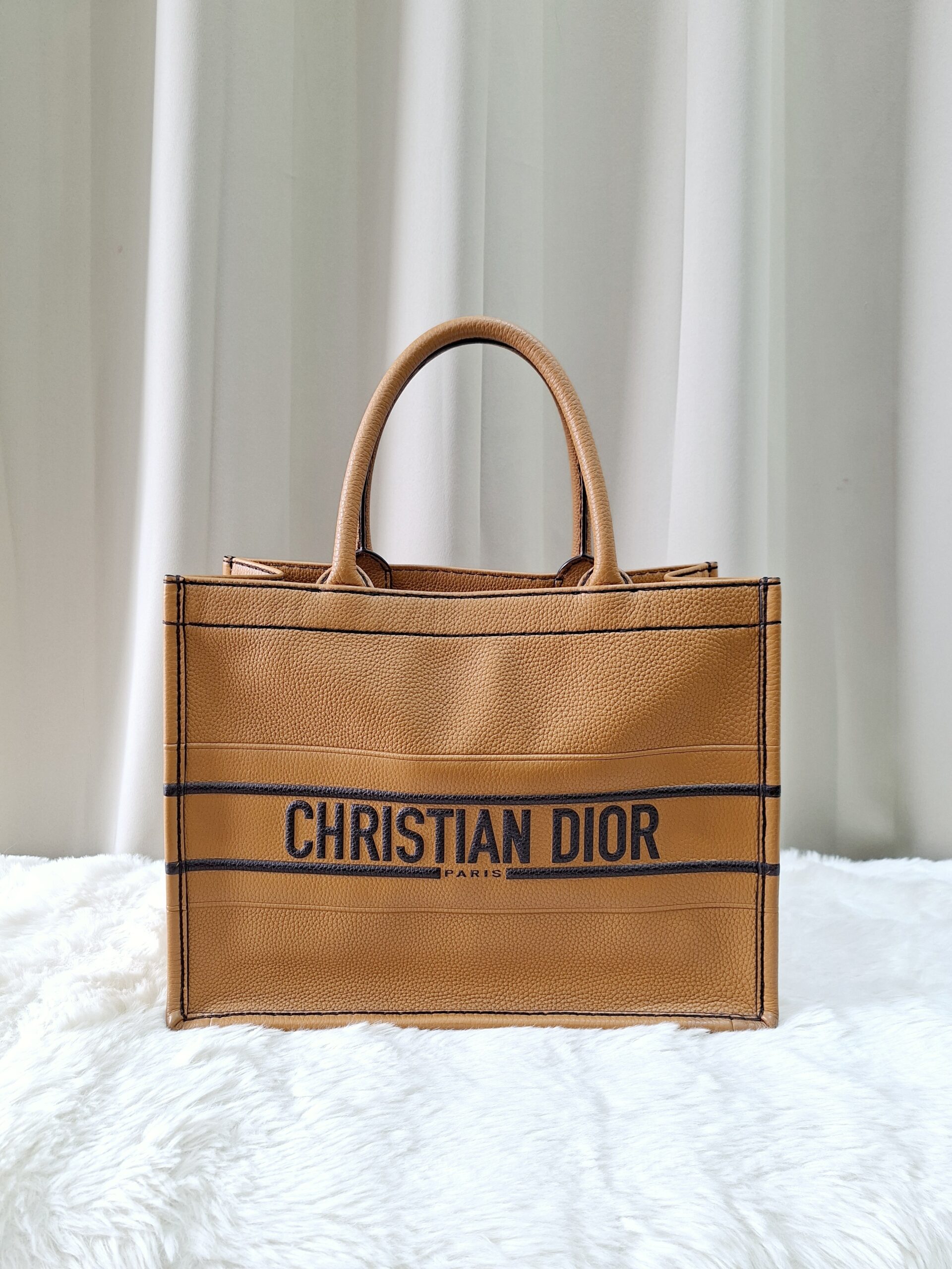 Christian Dior Book Tote Bag Christian Dior Book Tote Bag