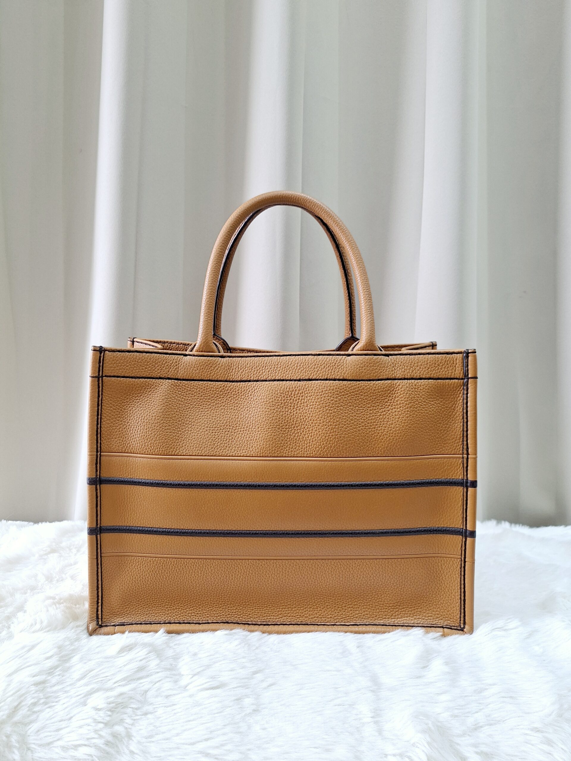 Christian Dior Book Tote Bag Christian Dior Book Tote Bag