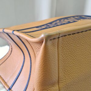 Christian Dior Book Tote Bag