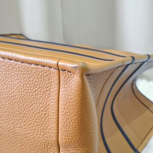 Christian Dior Book Tote Bag