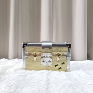 LV Metallic Gold/Silver Petite Malle Bag