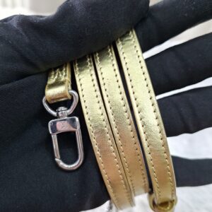 LV Metallic Gold/Silver Petite Malle Bag