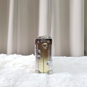 LV Metallic Gold/Silver Petite Malle Bag