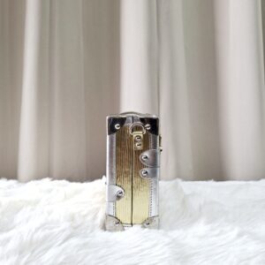 LV Metallic Gold/Silver Petite Malle Bag