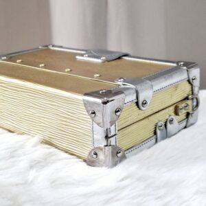 LV Metallic Gold/Silver Petite Malle Bag