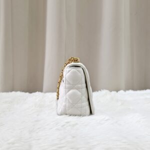 Christian Dior Small Caro Bag