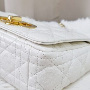 Christian Dior Small Caro Bag