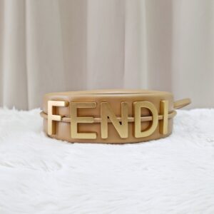 Fendi Fendigraphy Mini Hobo Bag